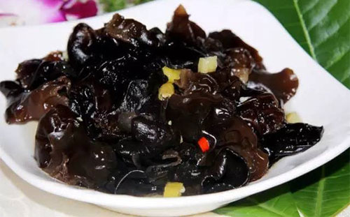 ���͵��̴���ʳ�� �����̴��˳�5��ʳ��